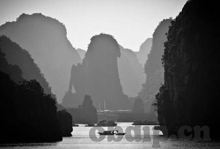 果冻传媒一二三产品-探索果冻传媒的创意之旅，一二三产品的独特魅力