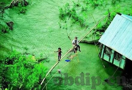 久久草中文字幕-探索自然与文化的和谐共生，久久草的独特魅力