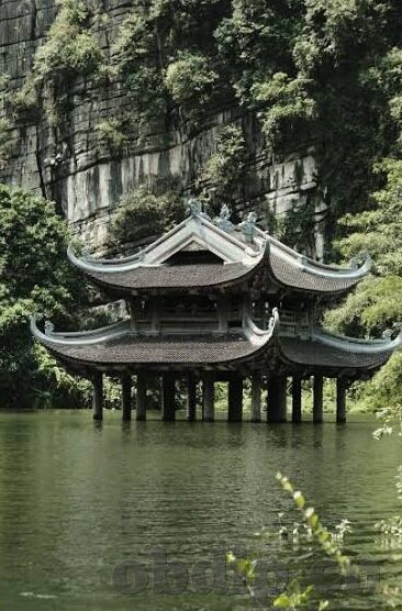 麻豆91幻星辰-探寻网络世界的一抹独特色彩，麻豆91幻星辰的迷人魅力