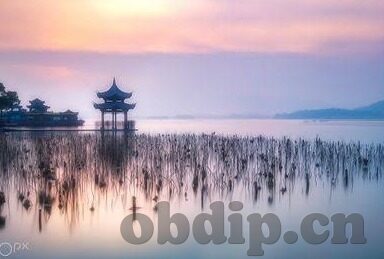 麻豆91色在线影院-探讨网络平台内容规范的重要性