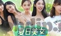 麻豆传媒免费在线-直面网海迷离，揭秘麻豆传媒免费在线的真相