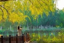 麻豆传媒破解app免费版-揭秘，麻豆传媒破解app免费版背后的真相