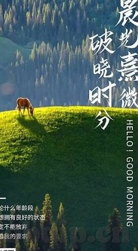麻豆传文化传媒网站入口免费-网络之川，探秘麻豆文化传媒的精彩世界
