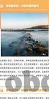 糖心app官方logo网站-探索数字娱乐的缤纷世界，糖心app官方logo与网站的魅力之旅