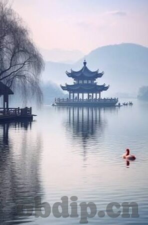 糖心app会员兑换码-甜蜜邂逅，会员特权——解锁糖心APP会员世界的趣味之旅