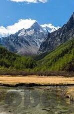 图片伦理电影伦理小说-图片、伦理与电影的交织叙事，艺术与道德的边界探索